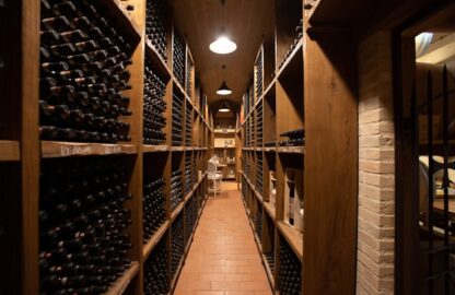 Vinos-Licores-Espumosos-y-Cervezas-gourmet-10