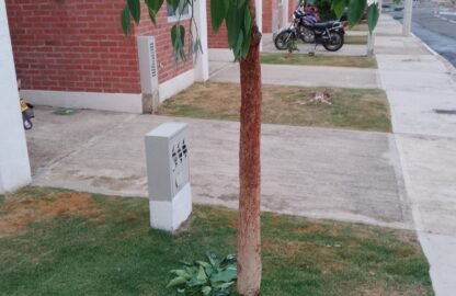 Foto-de-Jesus-Pacheco-Fpmsc-2