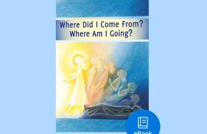 INGLES-eBook-WHERE-DID-700x600px