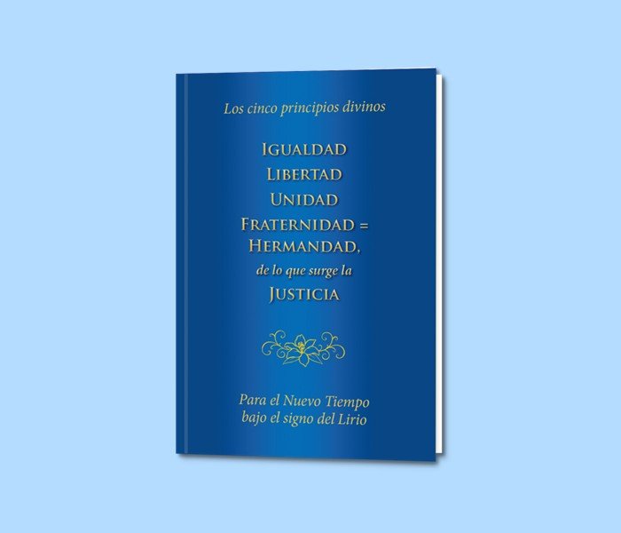 Espanol-SIN-QR-LOS-CINCO-PRINCIPIOS-DIVINOS-700x600px